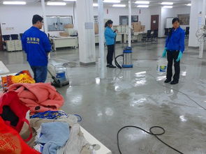 全方位保洁服务 从开荒到托管，为您打造洁净空间