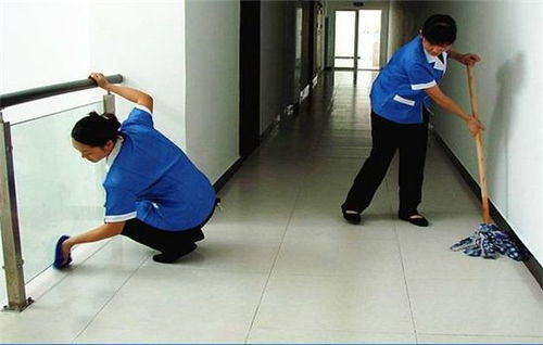 专业家政服务专家 莉莉家政，为您提供全方位清洗与保洁解决方案