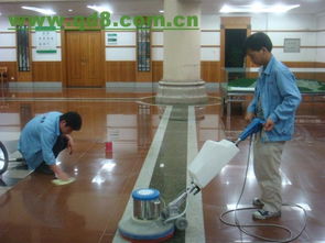 北京专业保洁服务全解析 小营、惠新西街、亚运村及擦玻璃地毯清洗